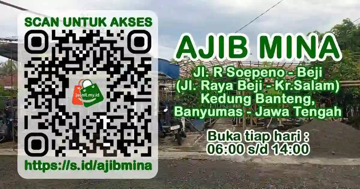 Ajib Mina Beji